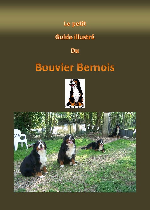 du petit vendômois - Le petit guide illustré du Bouvier Bernois